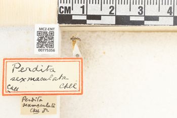 Media type: image;   Entomology 775356 Aspect: Labels
